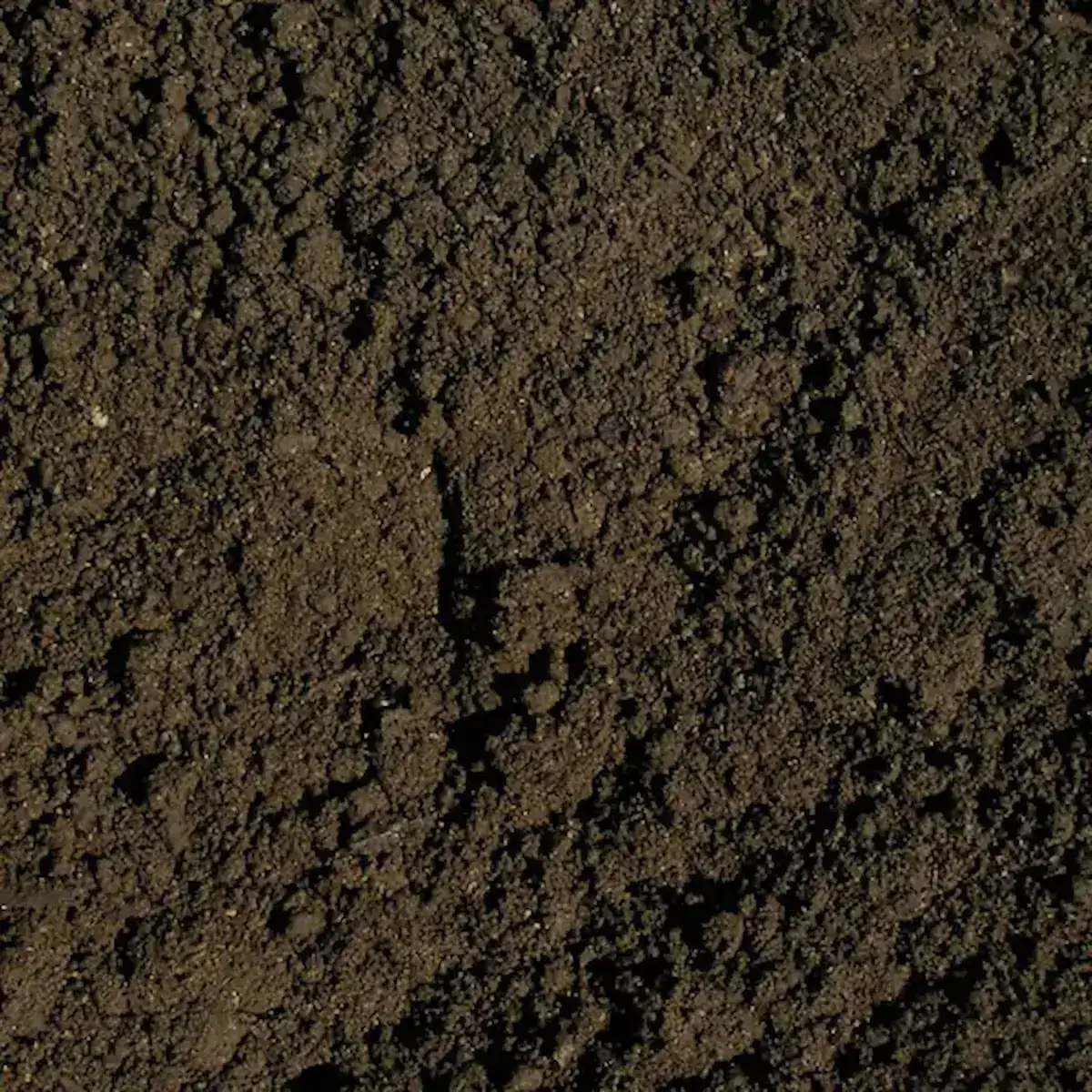 Termőföld